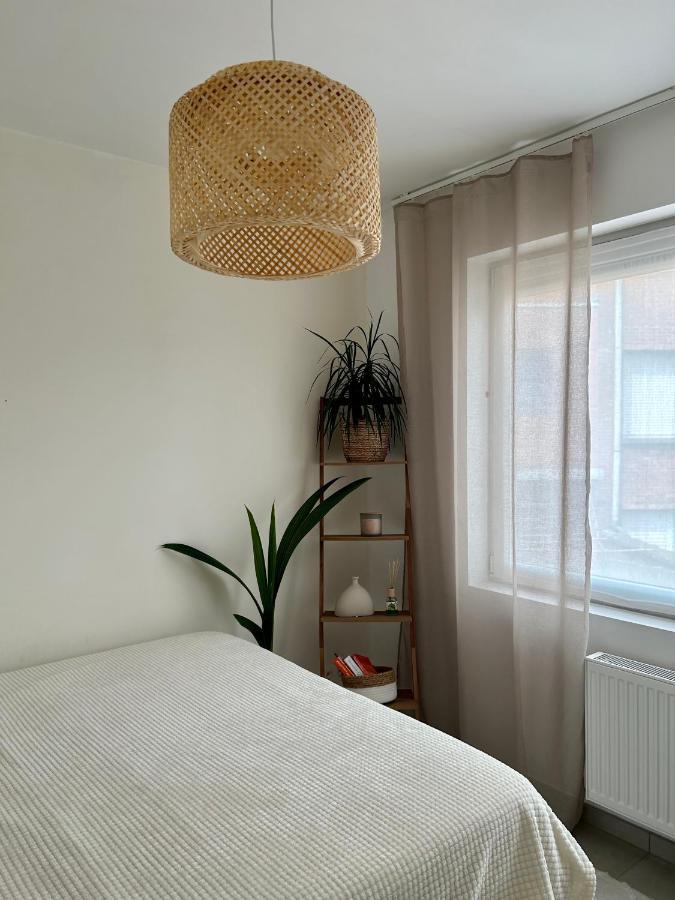 Ferienwohnung Vintage Dream Zwijndrecht Exterior foto